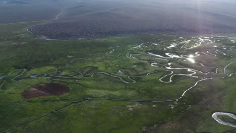 Aerial-view-of-Owens-River-Gorge,-focusing-on-the-river's-winding-path-through-lush-green-fields,-creating-a-picturesque-scene-under-a-bright-blue-sky