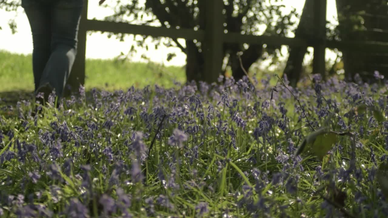 mujer despreocupada caminando en el prado