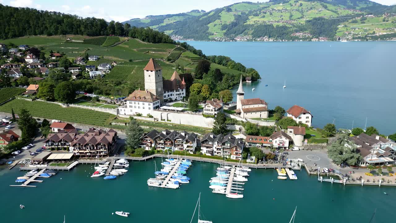 Aerial Perspective of a Serene Lakeside Marina with Historic Architecture and Lush Vineyards