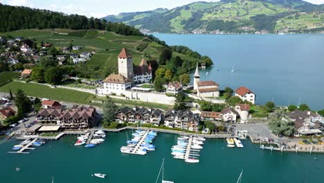 aerial perspective of a serene lakeside marina with historic architecture and lush vineyards