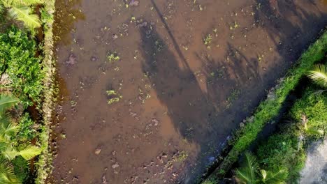 Un-Campo-Lleno-De-Agua,-El-Campo-Ha-Sido-Arado-Y-Regado-Para-El-Cultivo,-Toma-De-ángulo-Alto,-Toma-Aérea,-Campos-De-Arroz-En-Asia