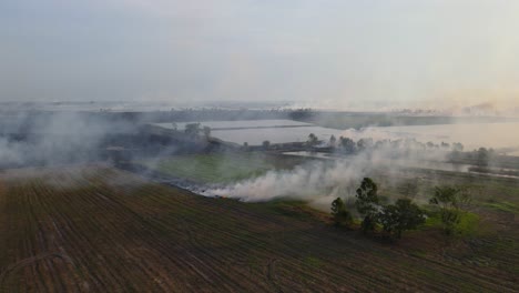steady aerial footage from a higher altitude revealing a farmland burning and some parts already charred in pak pli, nakhon nayok, thailand