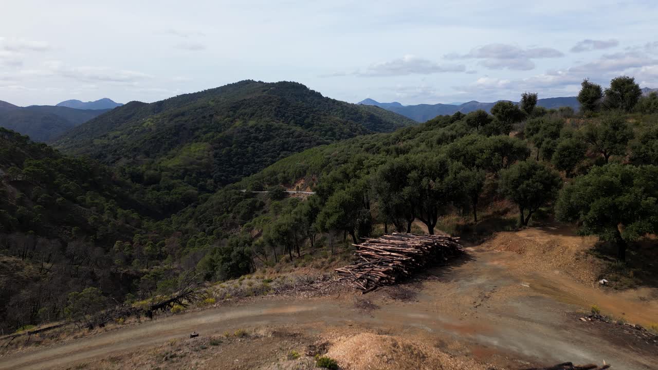 montañas mágicas y troncos cortados para la industria, vista aérea