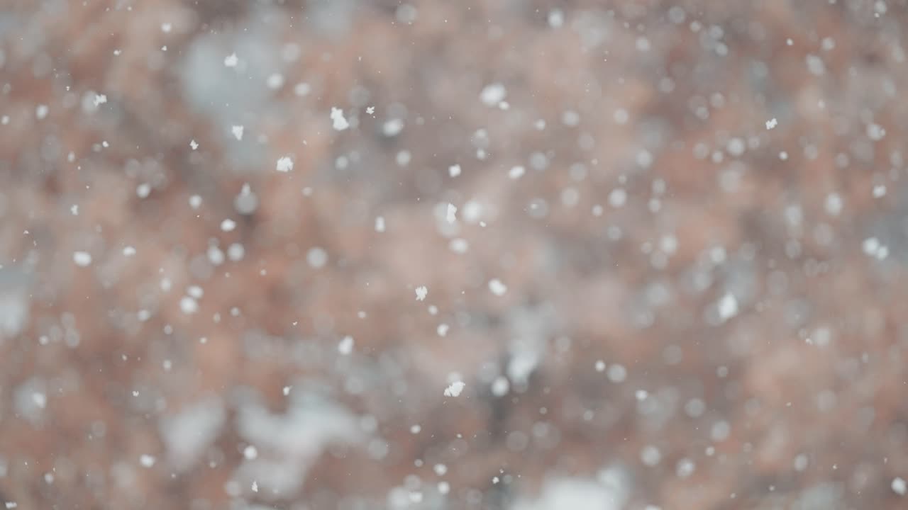 un primer plano de copos de nieve girando en una tormenta de nieve, con un árbol de hojas marchitas en el fondo