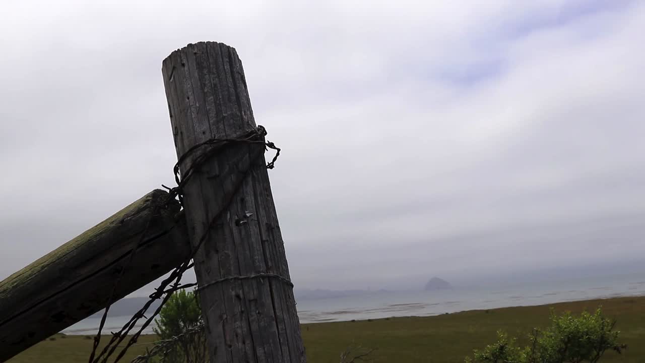 해안에서 해변보기