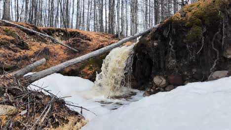 A-small-waterfall-in-the-forest-during-spring,-freshness-and-natural-beauty