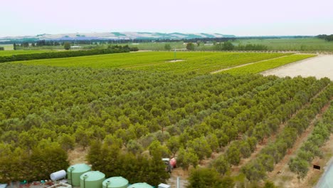 drone shots of a vineyard with dry grass