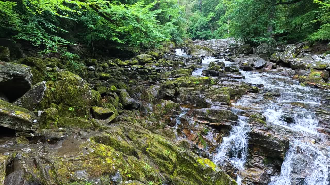 Strømmende vandfald omgivet af frodig grøn skov