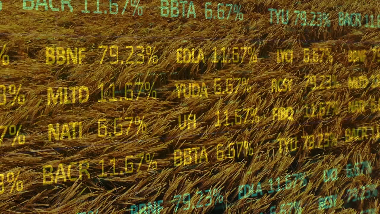 Animation der Finanzdatenverarbeitung über einem Agrarfeld