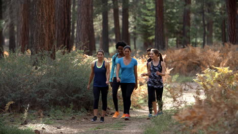 group of young women runners walk in a forest talking