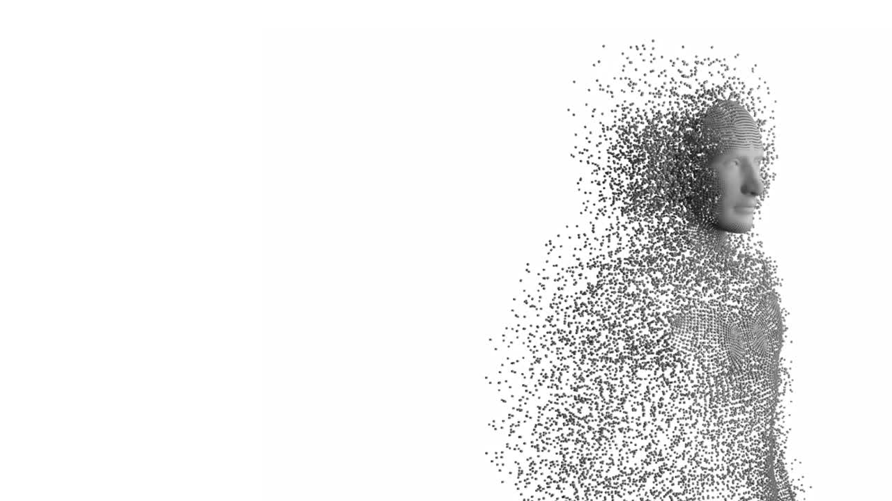 cuerpo humano sobre fondo blanco