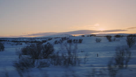 Icelandic tundra in winter under soft golden light, serene frozen landscape in twilight, sun flare hidden behind thick long clouds
