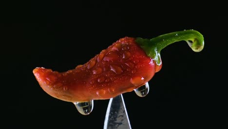 fresh red chili pepper pinned on knife with water droplets