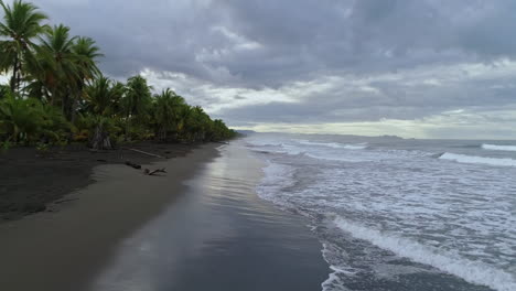 Low-aerial-moving-down-tropical-palm-tree-beach-as-waves-roll-in-at-sunrise