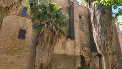 establishing shot looking up at iglesia de santiago el mayor medieval catholic parish church with lush palm trees foliage growing outside