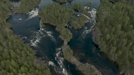 tranquil forest stream with clear water in remote norwegian wilderness.