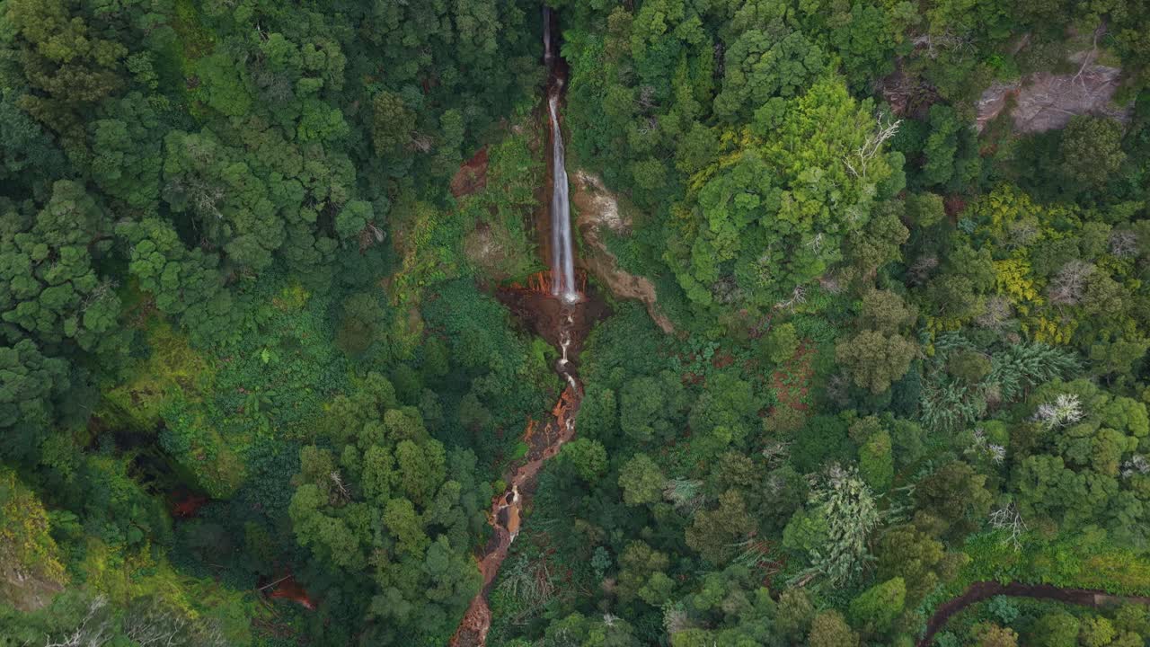 Waterfall in the jungle drone flying backwards