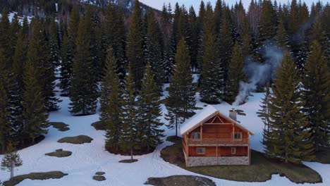 snowy mountain cabin in a pine forest