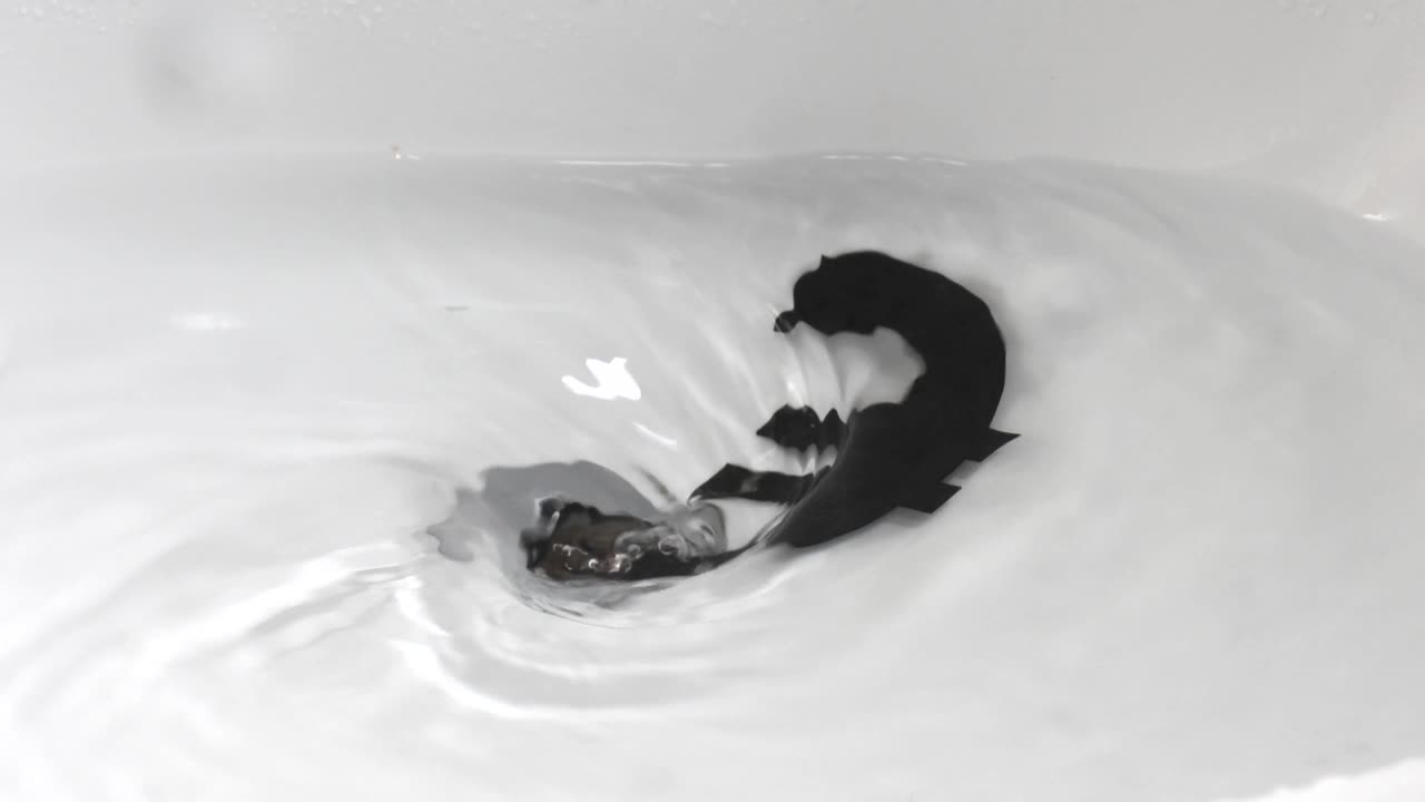 플러그홀 아래로 통화