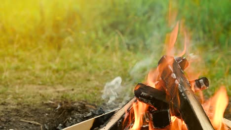 burning bonfire in nature during the camping.