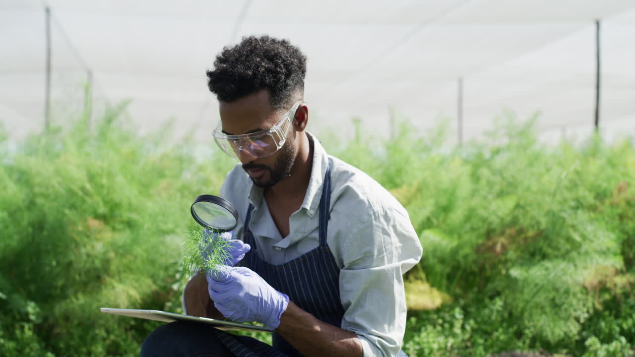 Let's see what discovery we are gonna make here