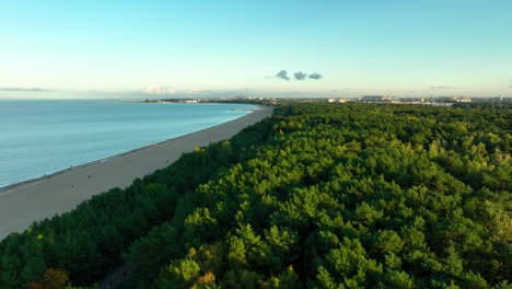 aerial view of gdansk extensive coastline and dense forest stretching along the beach, under a clear blue sky and serene waters.