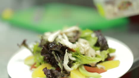 chef cooking vegetable salad. chef cook making vegetarian salad on the kitchen