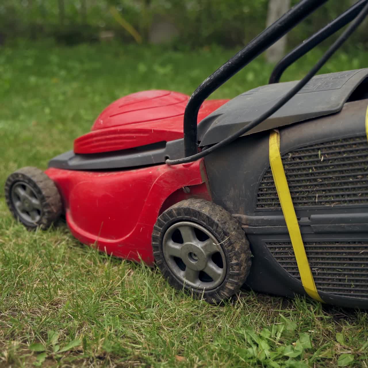 Corded lawn-mower works in the garden. Woman cutting green grass with mowing machine in the backyard. Gardening in summer.