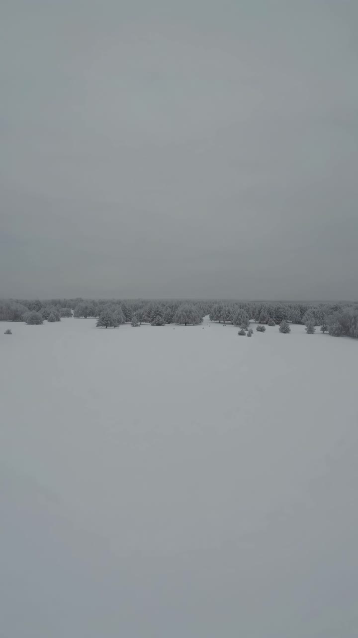 Aerial video view of a snow-covered landscape with scattered trees, creating a serene winter scene