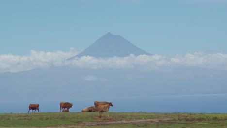 pico mountain view from san jorge island located in the azores archipelago