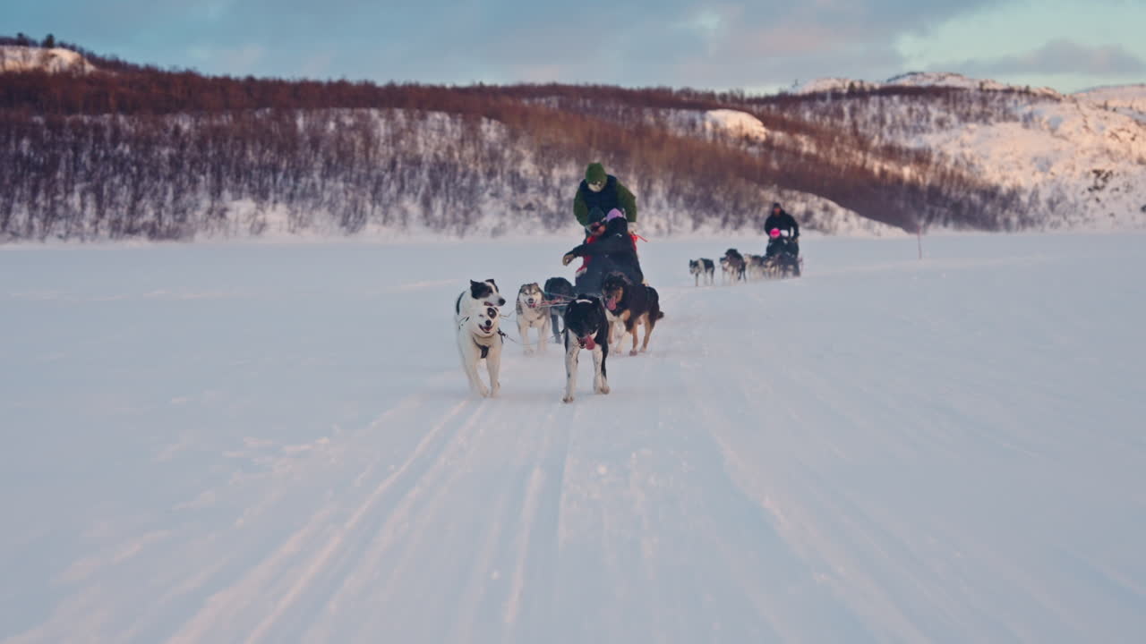 Câmera lenta de duas equipes de cães de trenó Husky puxando um trenó pela paisagem nevada norueguesa.