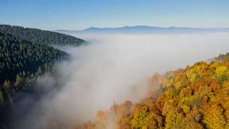 Hiperlapso-Aéreo-Sobrevolando-El-Bosque-Montañoso-Cubierto-De-Niebla-En-Color-Otoñal