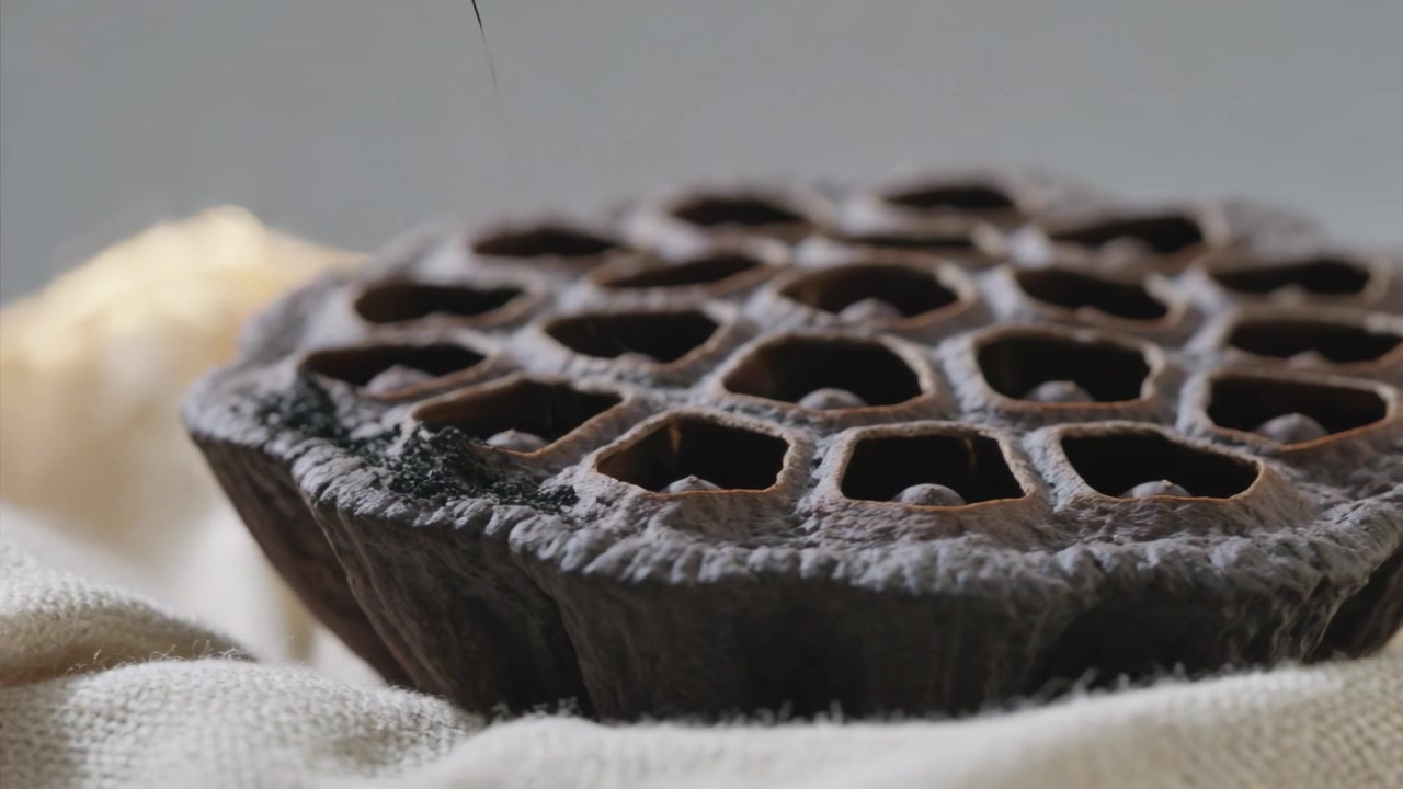 Pulling camera back, dried lotus seed pod revealing holes on tabletop to show texture, with thread