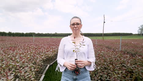 Una-Mujer-Sostiene-Una-Maceta-De-Plántulas-De-Eucalipto-En-Un-Jardín-De-Cultivo