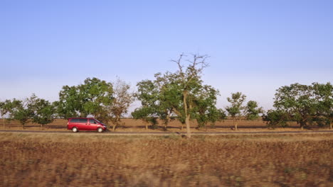 wide shot of taking a peaceful drive down a country road lined with trees