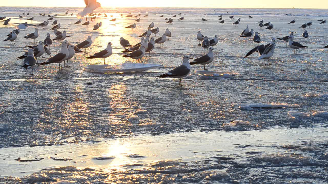 冬の夕焼け。太陽と海