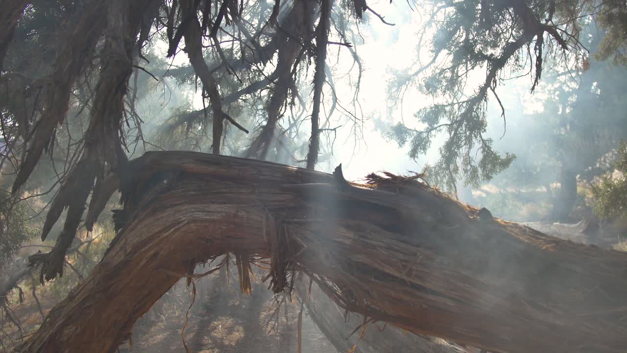 미국 서부 광야에서 떠오르는 태양 광선과 연기