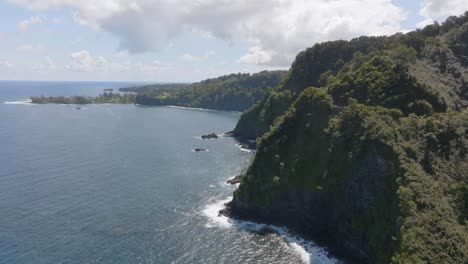aerial view of a lush green coastline