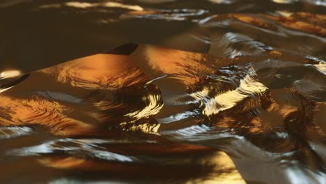 abstract gold liquid with animated reflections. golden wave and ripple motion background.