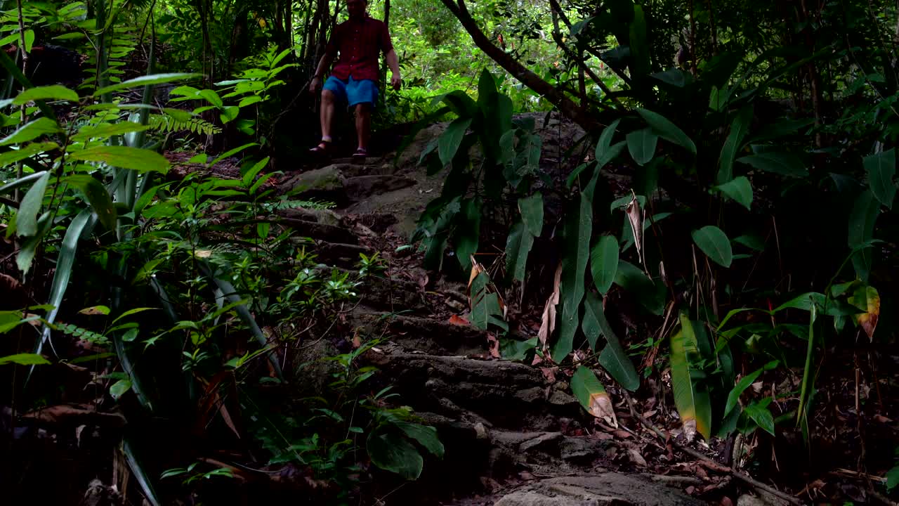 그 남자는 정글의 돌로 된 계단을 내려갑니다.