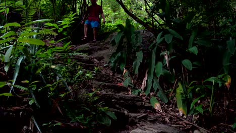 el hombre desciende las escaleras de piedra en la jungla