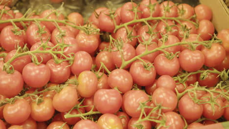 tomates a la venta en el mercado de un agricultor local