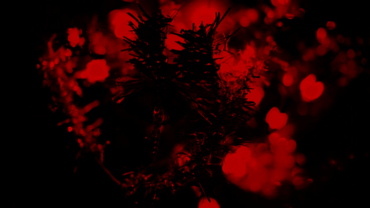 Juletræ og julelys, glædelig jul og godt nytår, pyntet juletræ