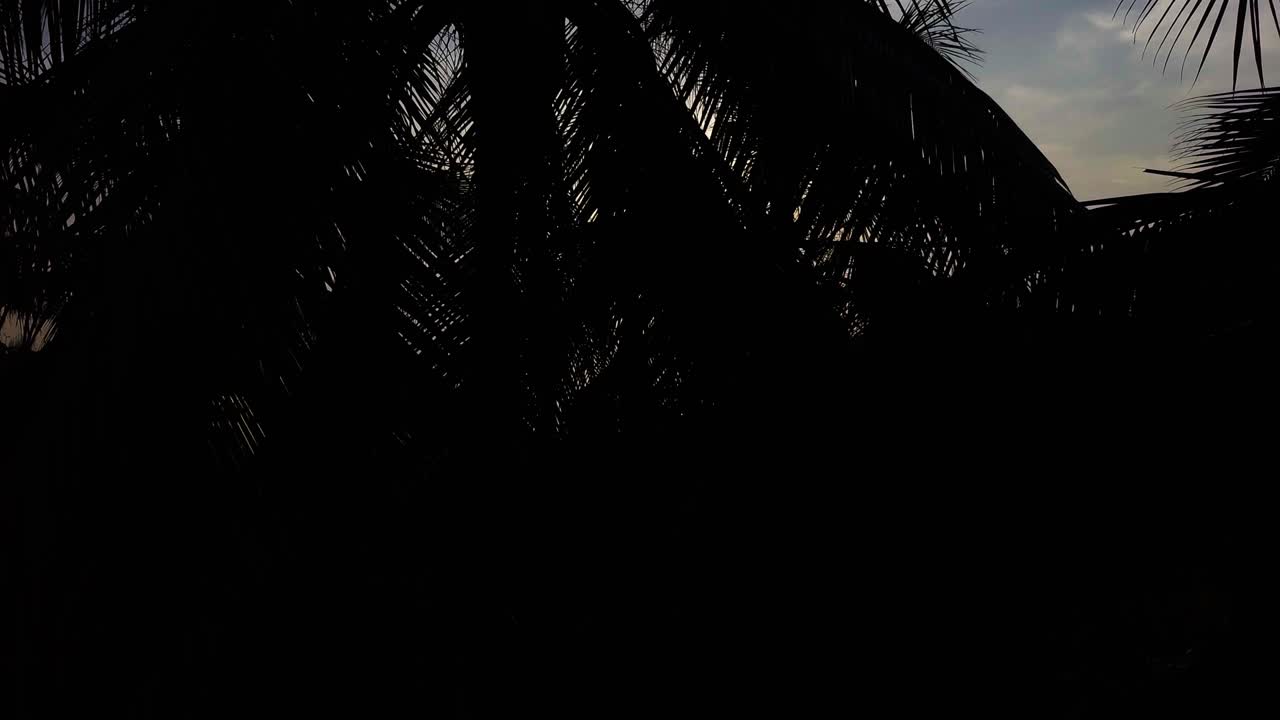 vuelo en el aire sobre las palmeras de coco y el mar al atardecer vuelo en el mar y las palmeras del coco al atardeecer