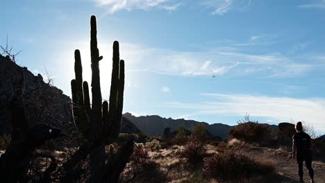 Frau,-Die-An-Einem-Riesigen-Saguaro-Kaktus-Vorbeigeht