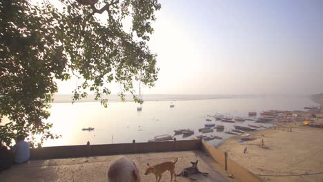 revelando el río ganges al atardecer