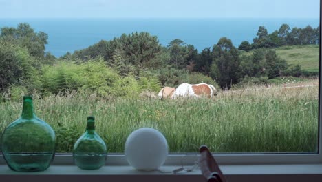 View-from-inside-through-a-house-window-of-two-horses-grazing-in-the-pasture