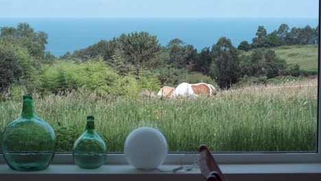 vista desde adentro a través de una ventana de una casa de dos caballos pastando en el pasto