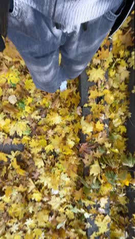 person walking on a path covered in autumn leaves