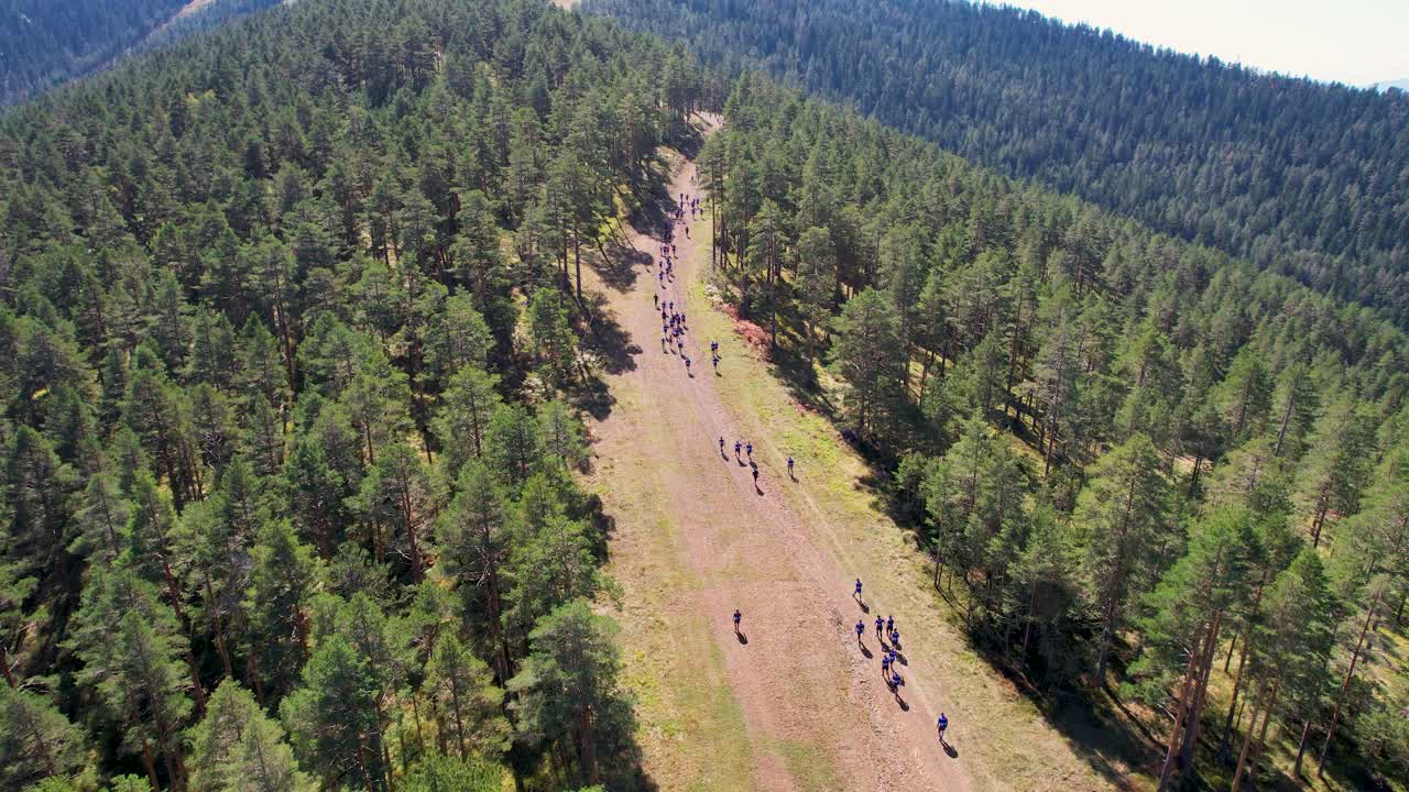 vista aérea de un grupo de corredores haciendo su camino a través de un amplio sendero forestal